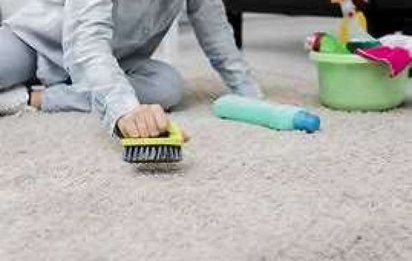 The 5-Step Guide to Choosing the Perfect Carpet Cleaning Service