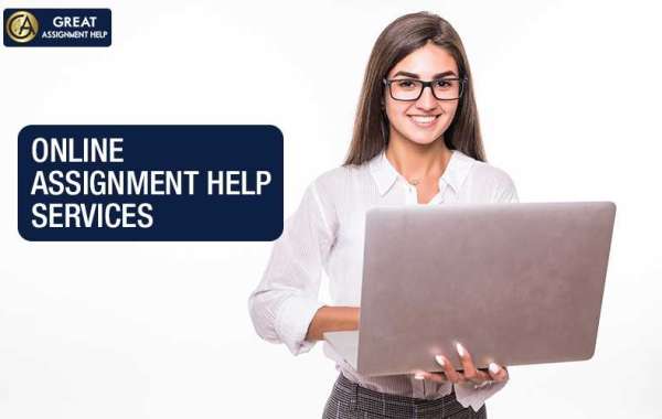 Expert Writers in the USA Provide Assignment Help Online