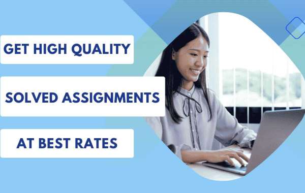 Solve Zone: Best Thesis Writing Service Provider