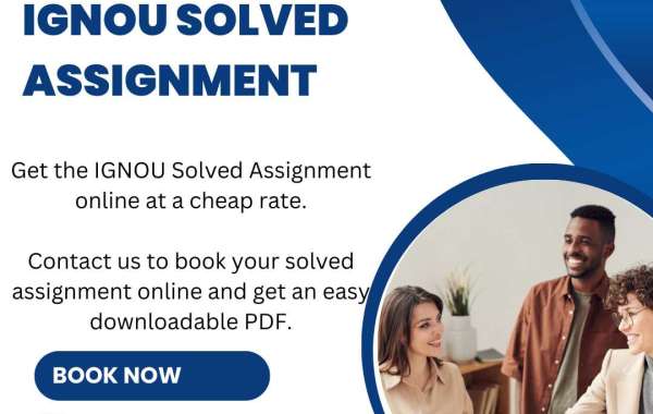 Mastering Your Ignou MBA Projects: Get Expert Help from Solve Zone!