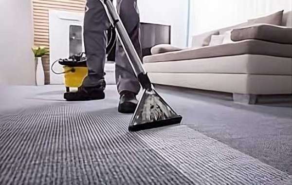 A Carpet's Best Friend: Top-notch Cleaning Services for Every Home