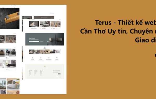 Terus – Thiết kế website tại Cần Thơ Uy tín, Chuyên nghiệp, Giao diện đẹp