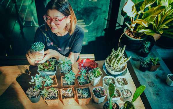 Discover Terrarium Workshops in Singapore | Create Your Own Miniature Green Oasis