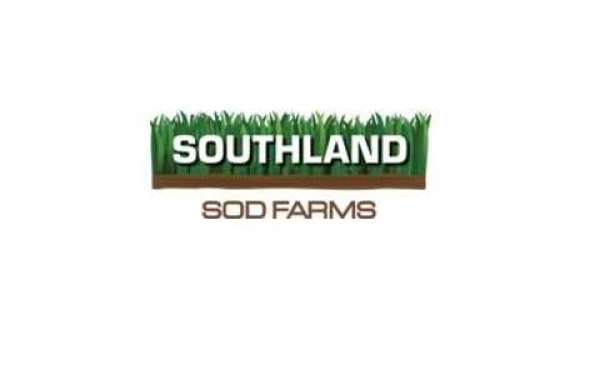 Good and Quality Sod: The Cornerstone of Southland SOD Farms