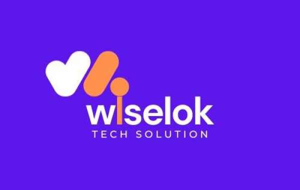 Ecommerce Seo Services - Wiselok Tech Solution