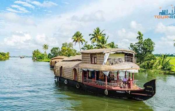 The Best Time to Visit Alleppey: Unlocking the Essence of Kerala's Backwaters