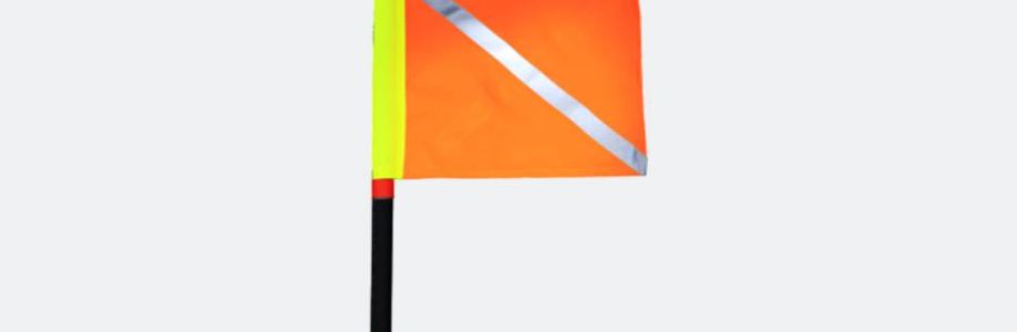 Cone Rental Cover Image