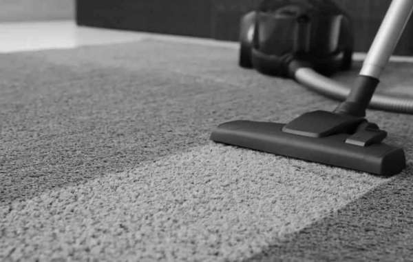 Invest in Your Home: Professional Carpet Cleaning for Longevity
