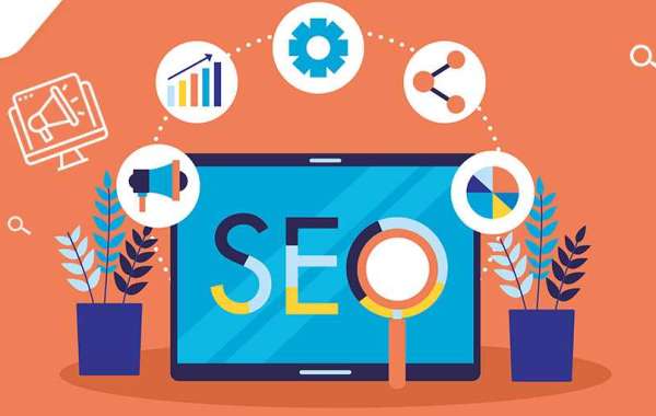 SEO Types and the Top SEO Plan for 2024 Traffic Growth