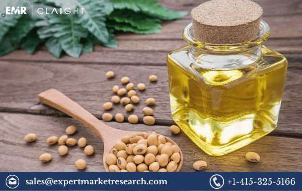 High Oleic Oil Market Size, Share, Growth, Analysis, Forecast 2024-2032