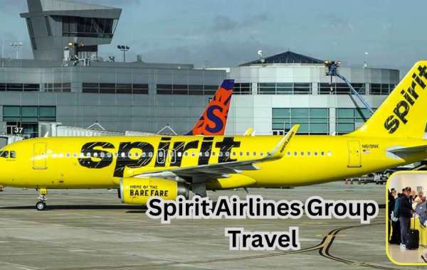 How do I book a Spirit Airlines Group travel?